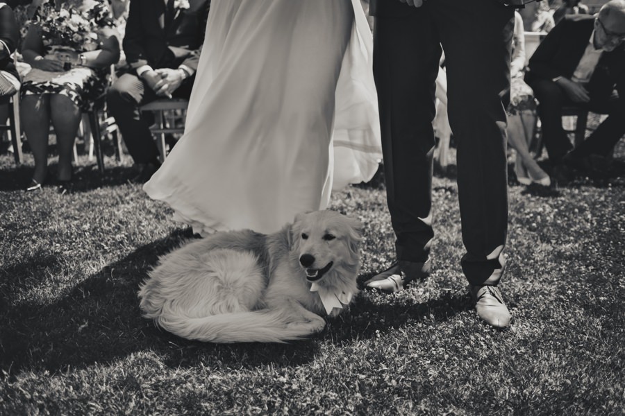 jan veleta fotograf 077