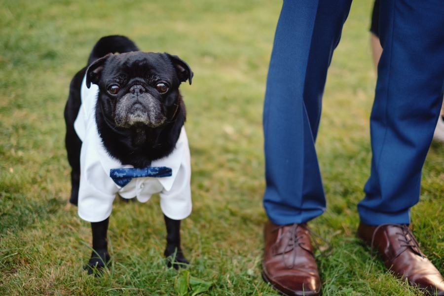 jan veleta fotograf 122